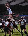 David Robinson - Rugby The Line Out